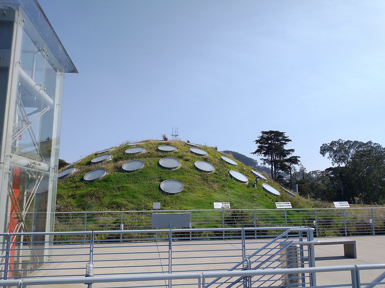 The living roof and skylights of the California Academy of Sciences, home of Morrison Planetarium