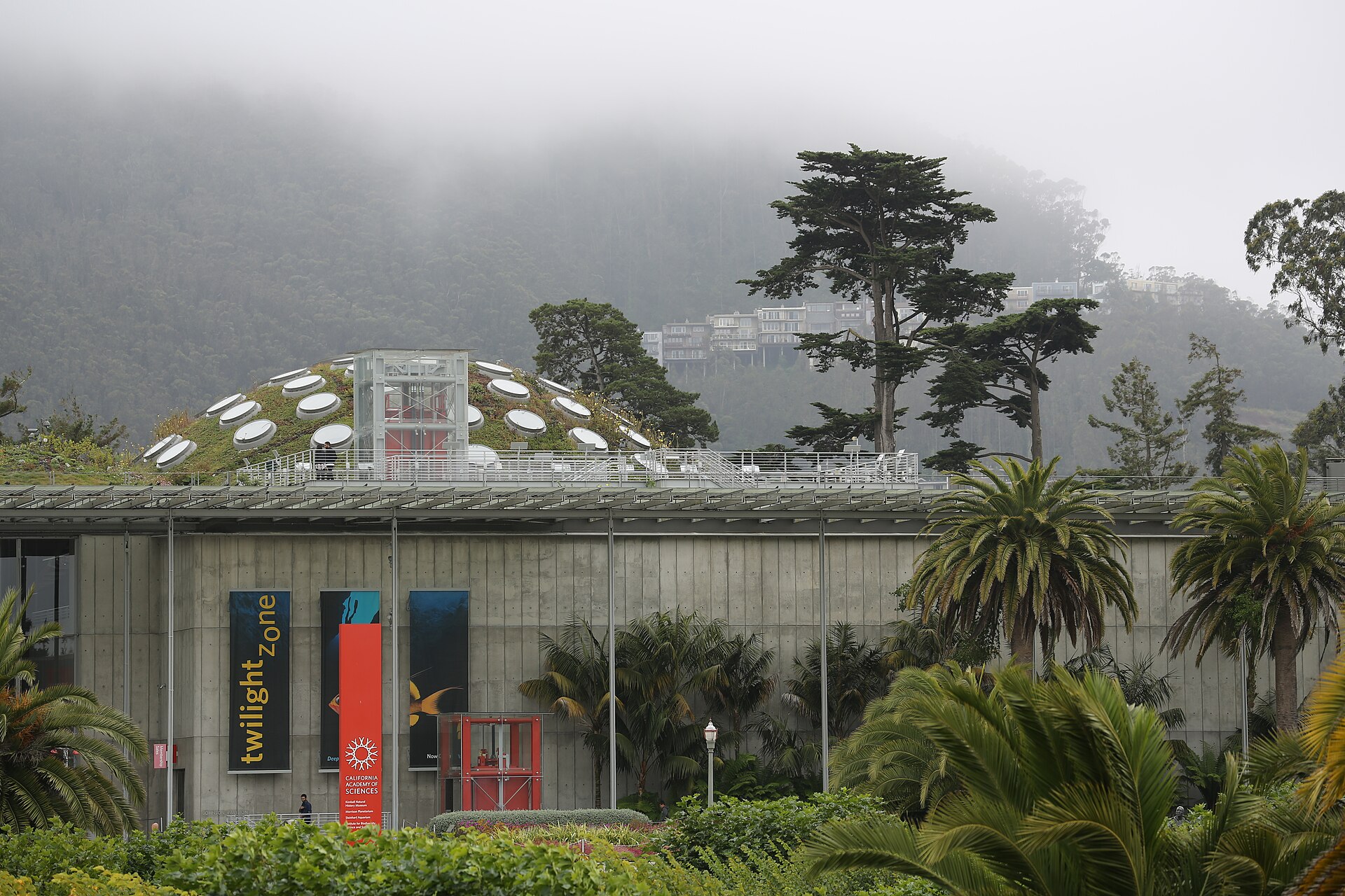 The California Academy of Sciences building and planted roof, home to Morrison Planetarium