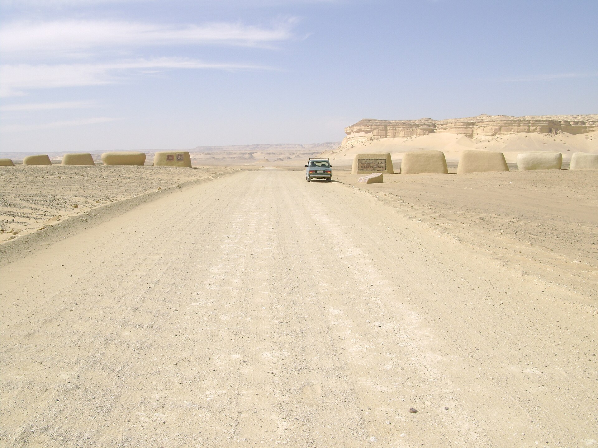 Fayoum / Wadi El-Hitan stargazing route under the night sky