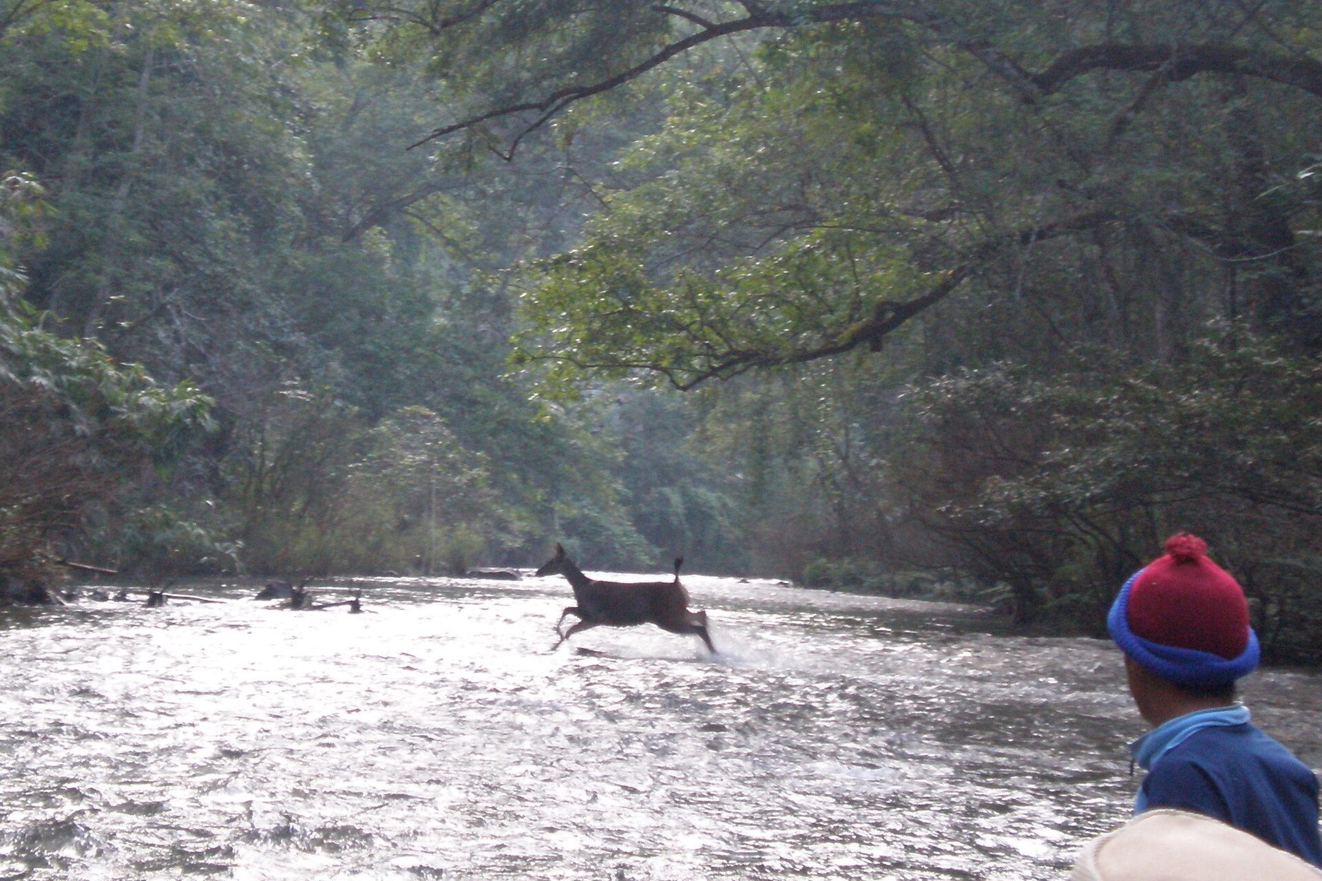 Nam Et–Phou Louey National Park / Nam Nern Night Safari under the night sky